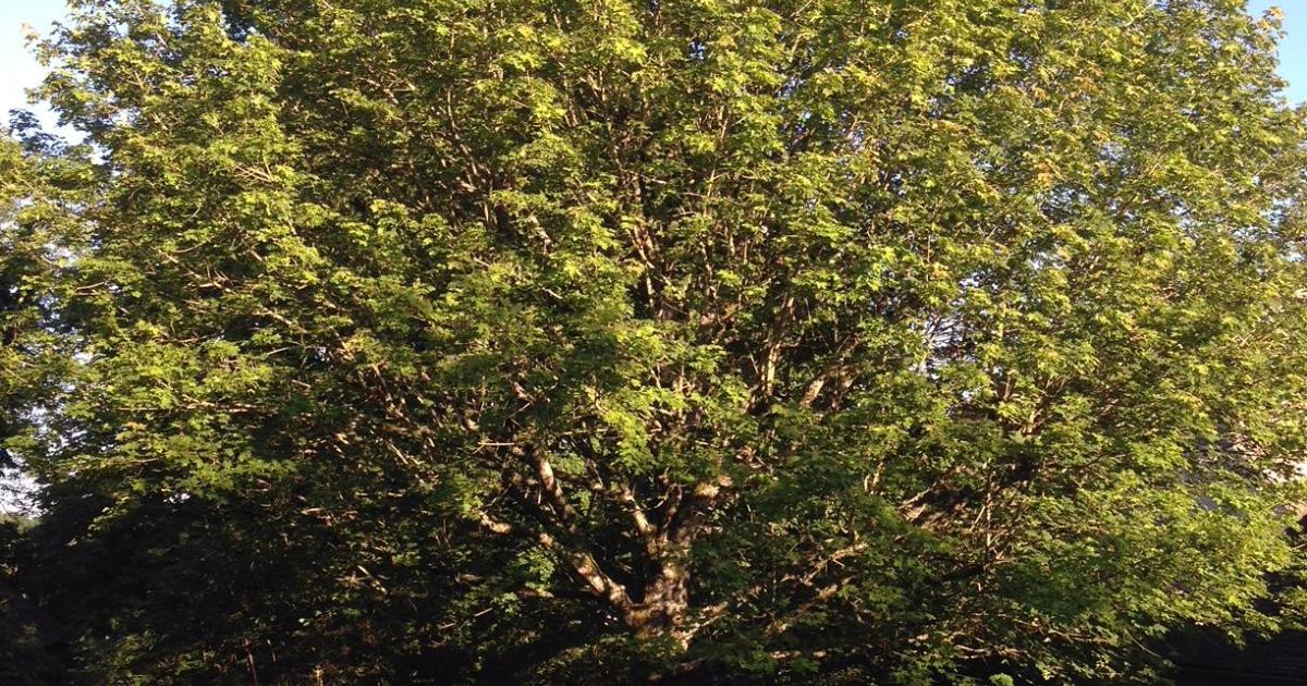 Entrer en poésie...