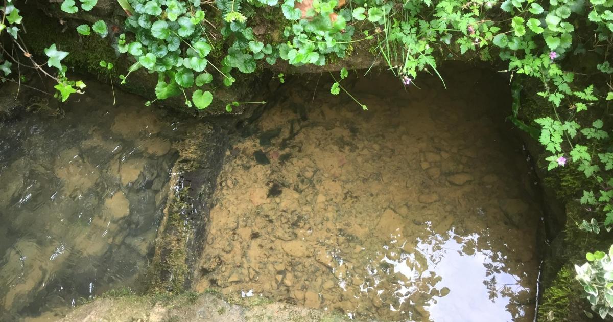 Le jardin du 9 Juillet