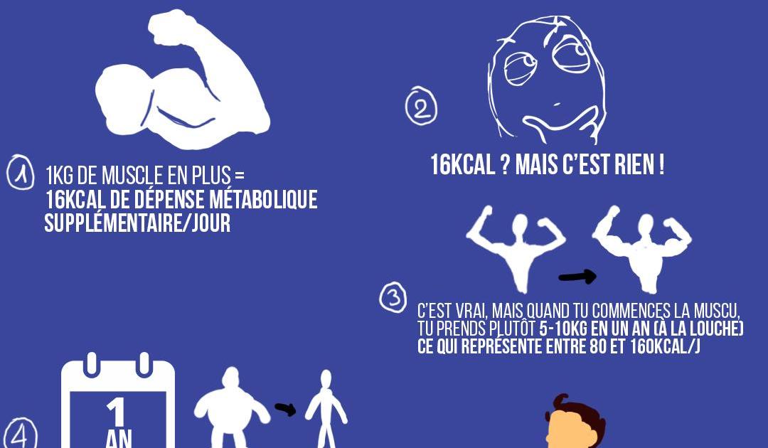 Construit du muscle pour perdre du poids facilement