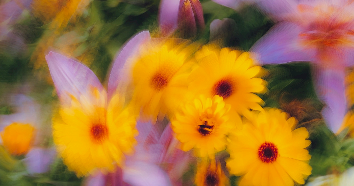 Souvenir: confinement.