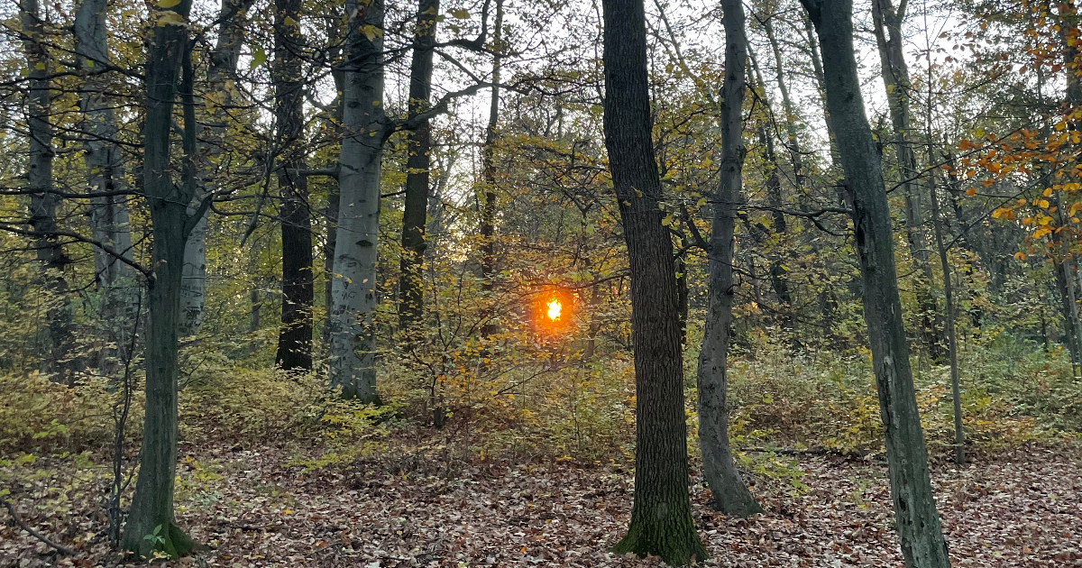 Small Blue Poem About Compassion