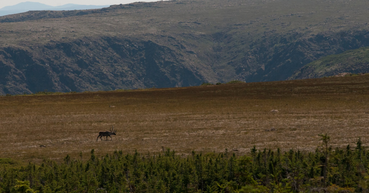 Deuxième partie (2015)