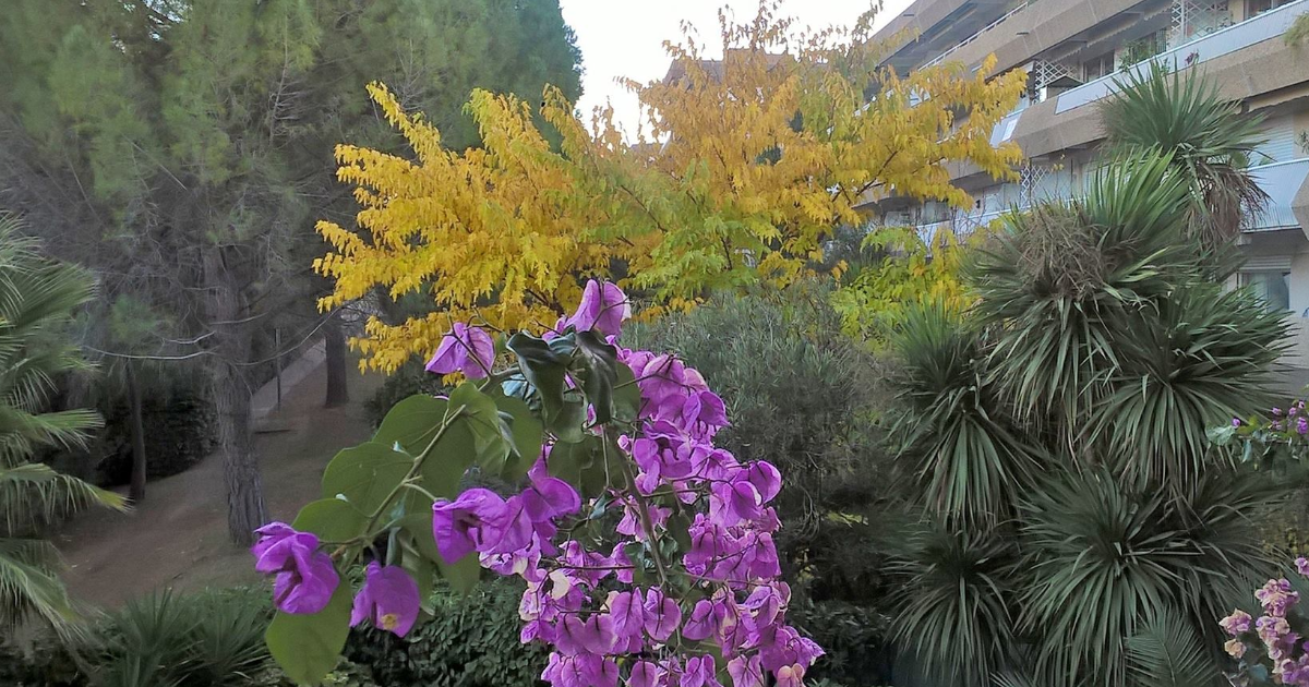 Le bouton du réveil