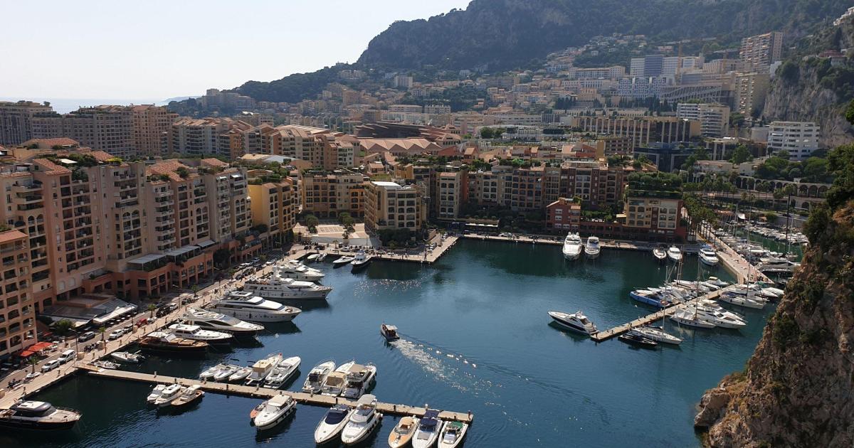 COVID-MAFIA : Like a Hurricane ? No, Just a Tsunami.