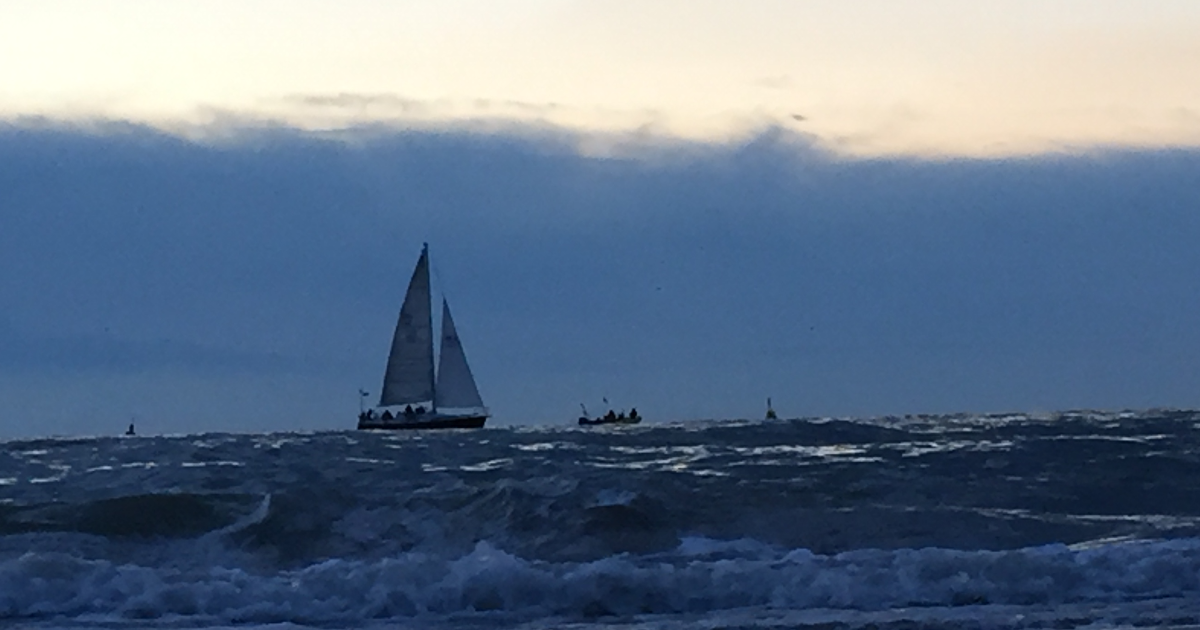 Éclats de mots ciselés