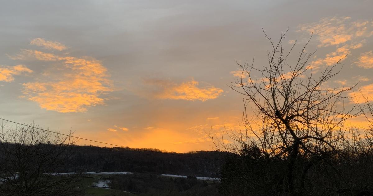 Le jardin du 20 Janvier