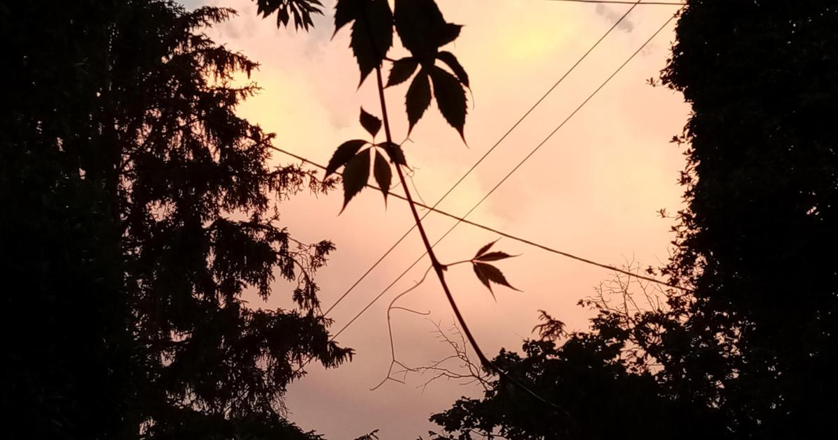 L'appel de l'extérieur