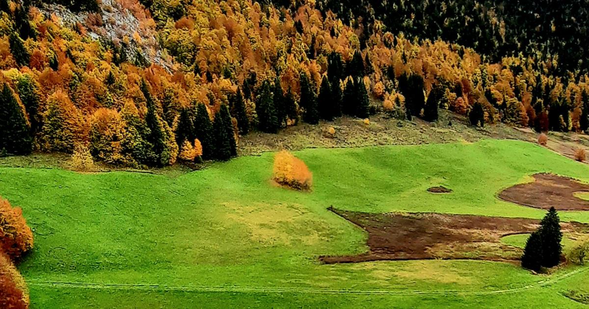 Coeur d'Automne