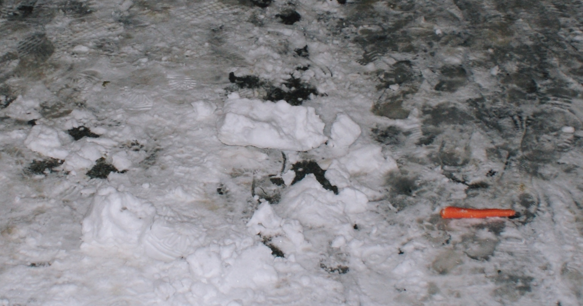 Enquête sur l'abominable assassinat d'un petit bonhomme de neige et tableau des trois principaux suspects