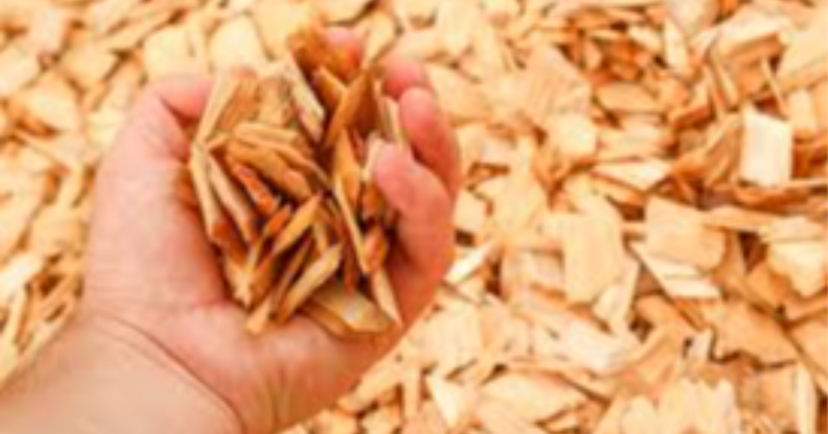 Jour numéro 12 : Déchiqueté