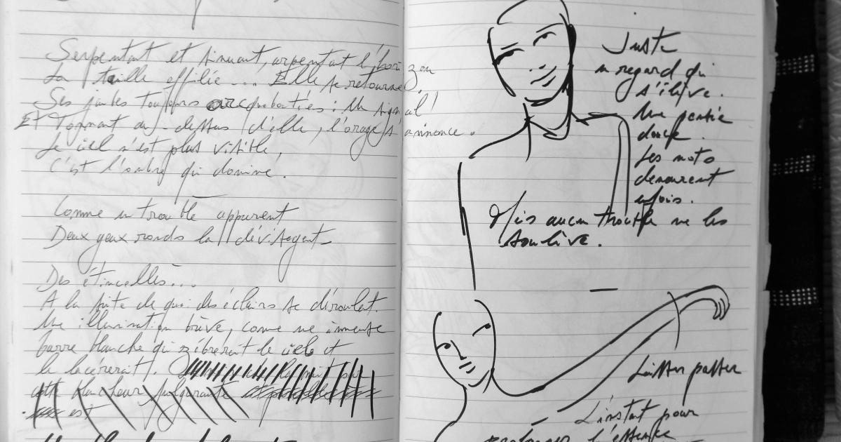 Petits Papiers Volants : Journal D'écriture 2003-2018 - samedi 10 février 2018