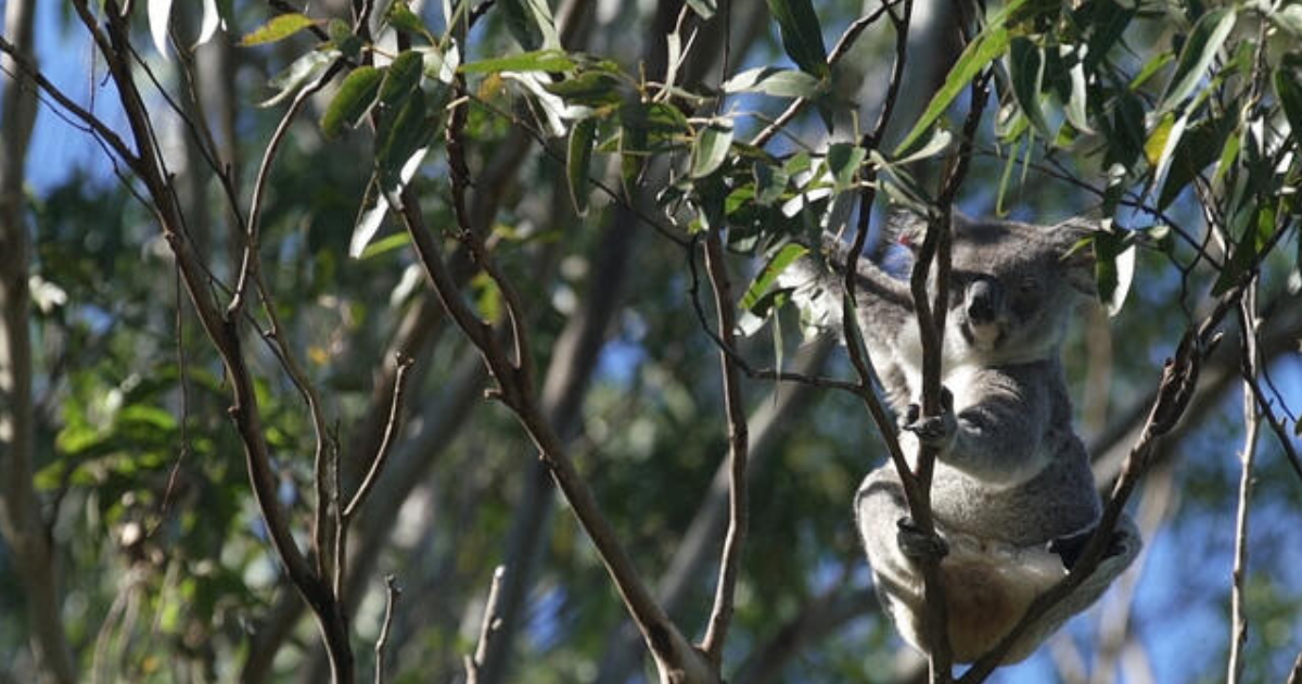 Around, Around and Around ...