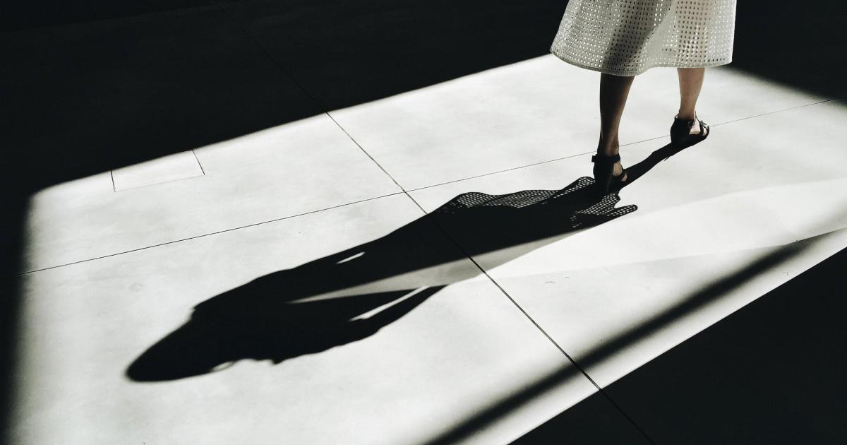 L’Ombre et la proie