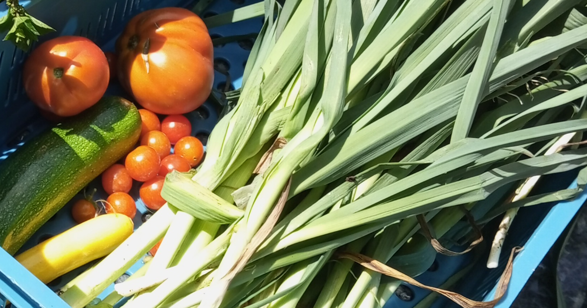 Le petit potager et les autres