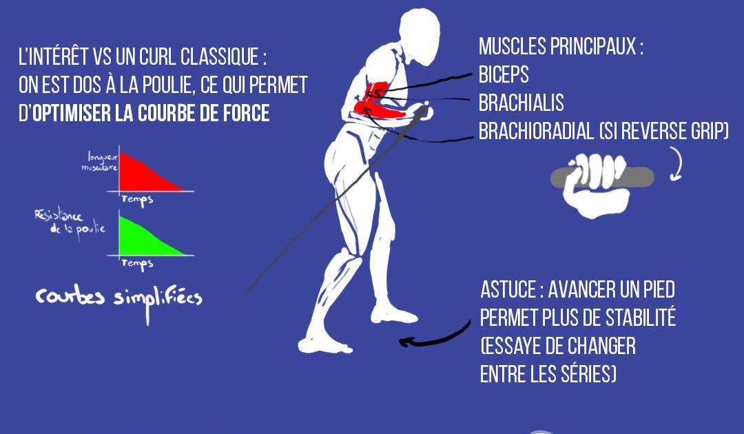 Le Bayesian Curl