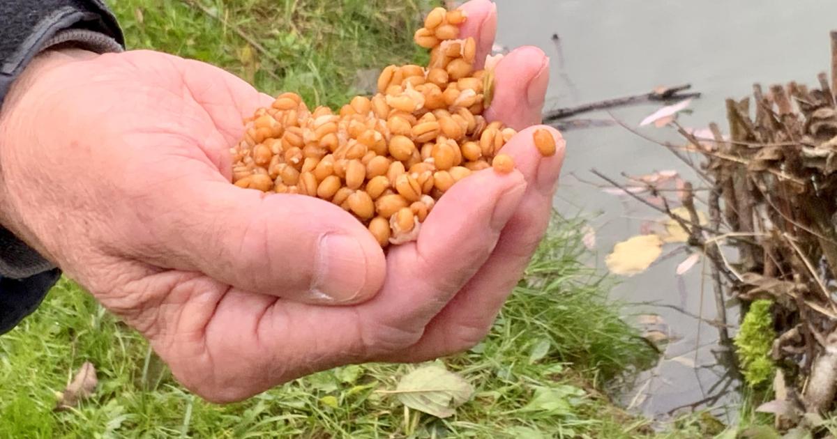 Le jardin du 7 Novembre