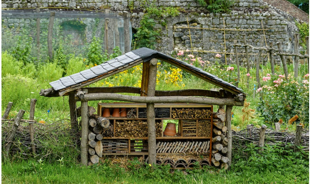 Co-jardinage – Editions Court Bouillon
