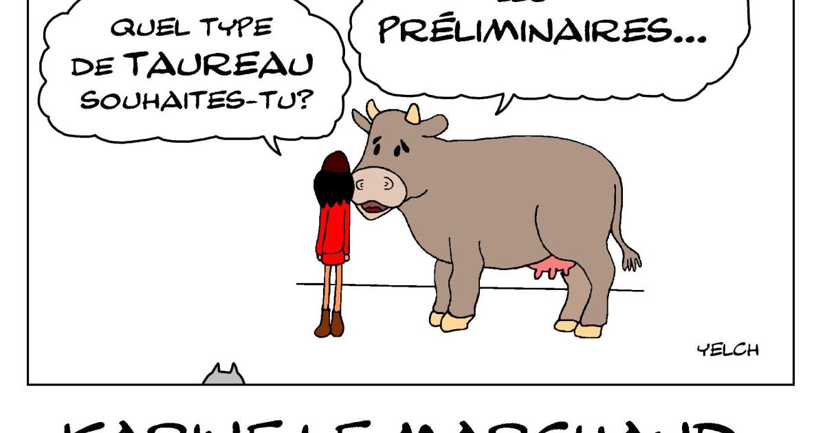 L'amour est directement dans le pré
