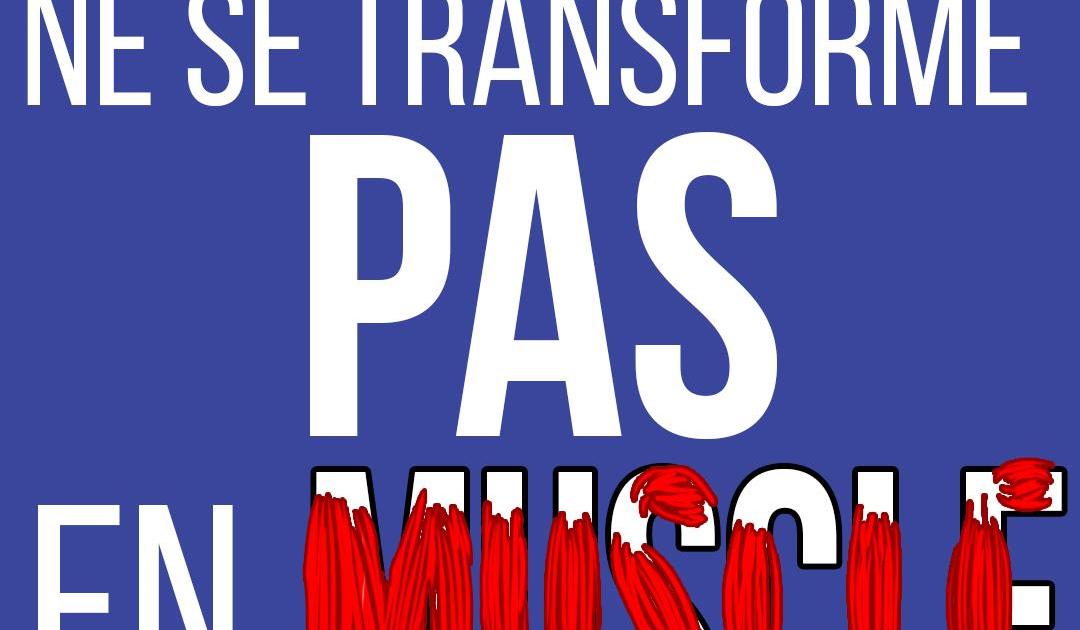 Non, la graisse ne se transforme PAS en muscle