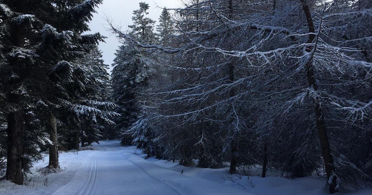 Critique de Sauve-la de Sylvain Forge