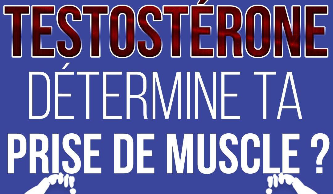 Est-ce que ta testostérone détermine ta prise de muscle ?