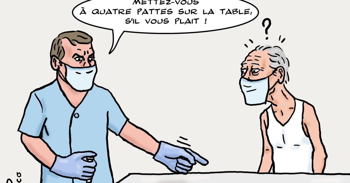 vaccination par les vétérinaires de la Covid-19