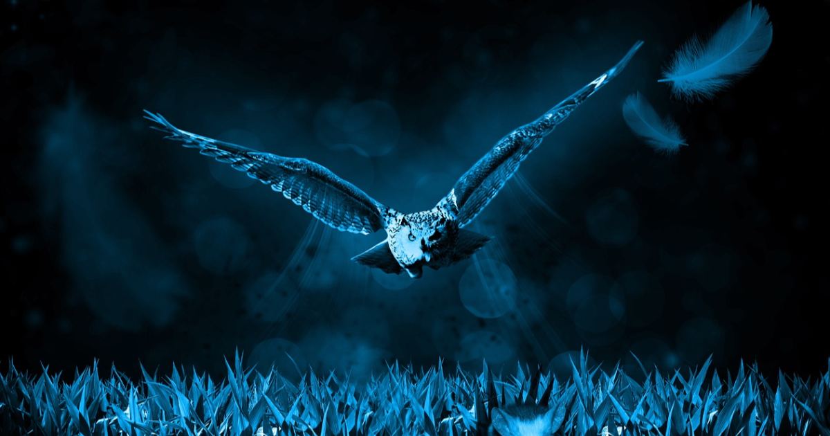 L'homme qui cachait ses ailes sous un manteau