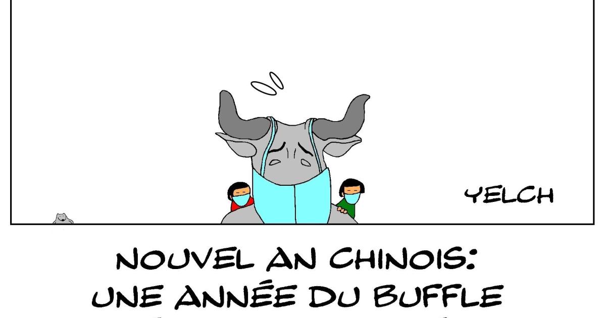 Année du buffle de métal
