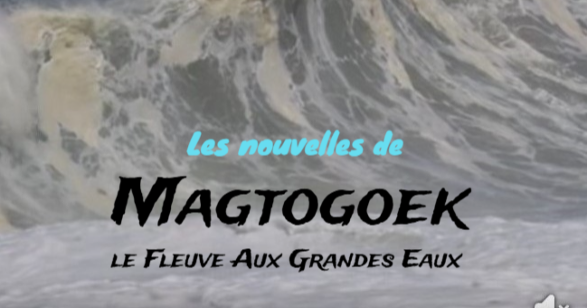 Les nouvelles de Magtogoek #5