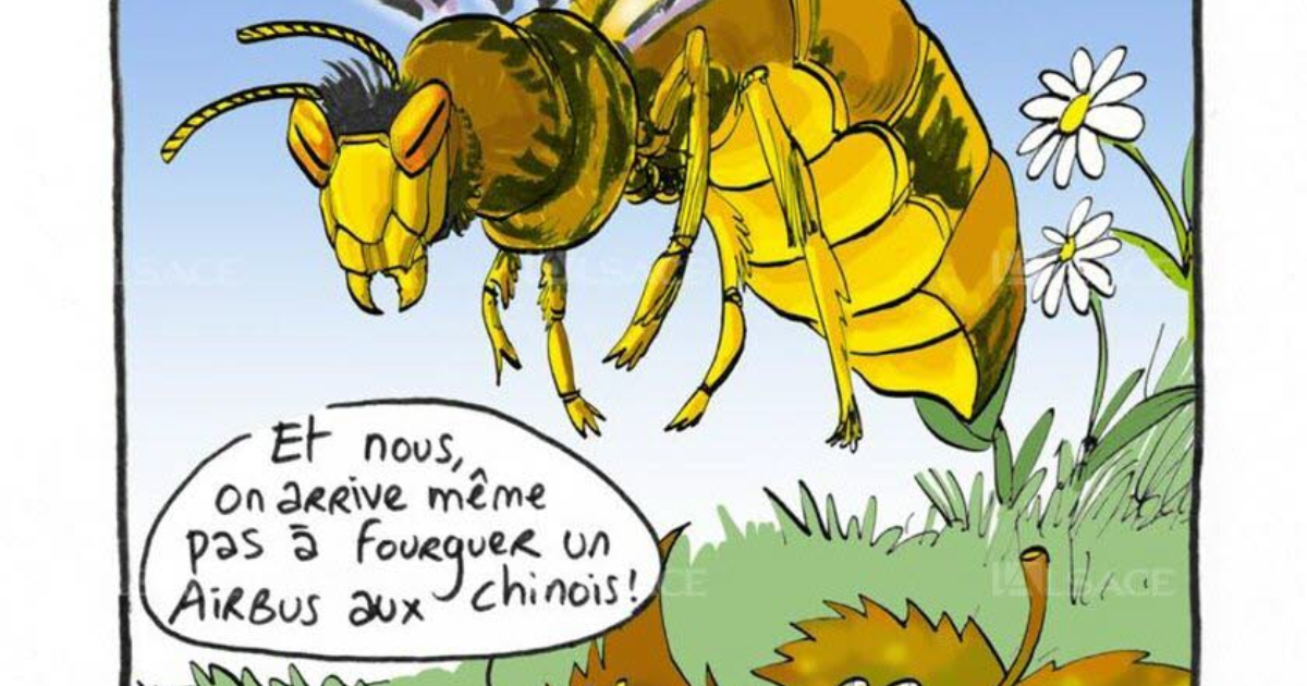 Partie 2 : La remise en question - Chap. 5 : Les espèces invasives