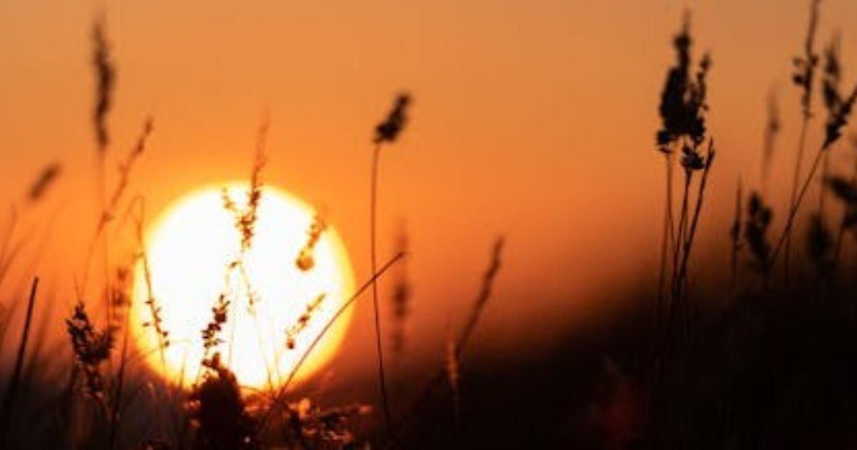 #1. L'univers de « L'Emballement ».