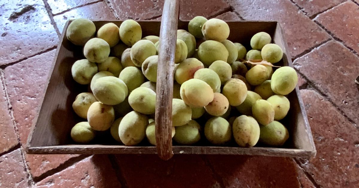 Le jardin du 6 Septembre