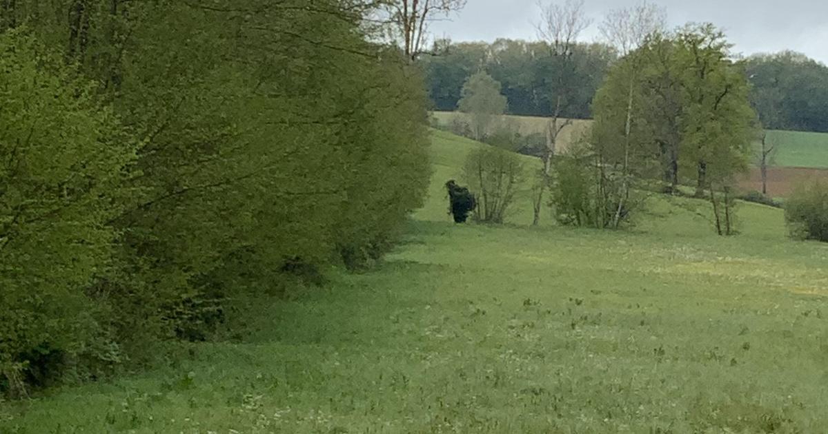 Large sorcière ou vieux vagabond