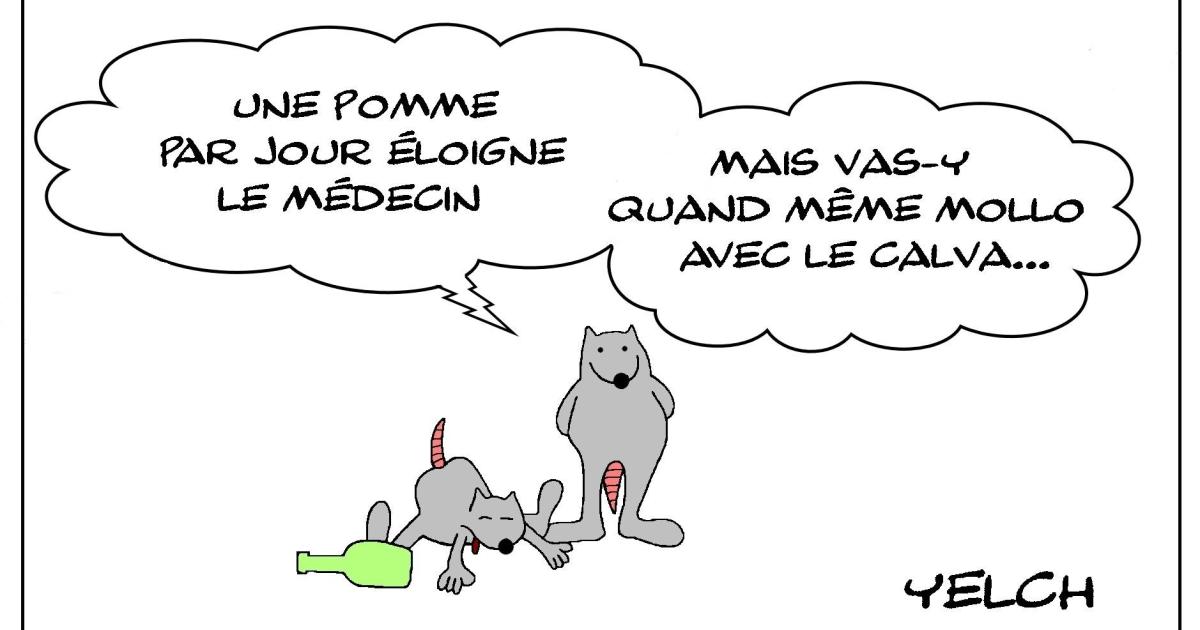 Le rat qui consommait trop de pommes