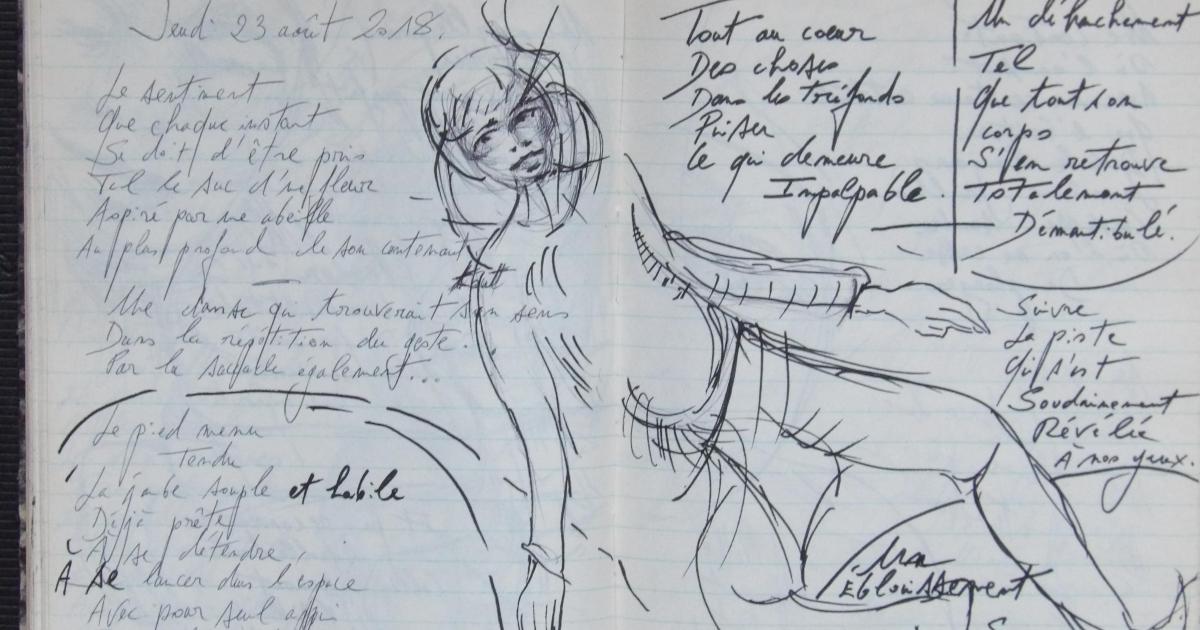 Petits papiers volants - jeudi 23 août 2018