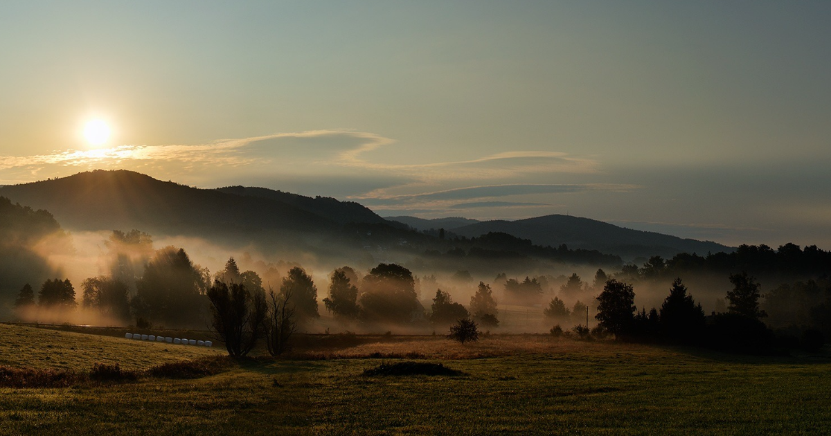 MATINÉES DE L’ÊTRE