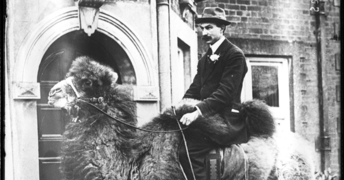 15 Regreso de las Indias