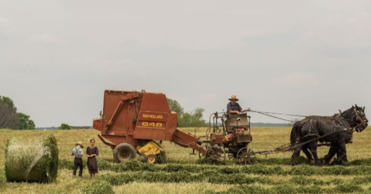 La transition sociétale préalable à la transition écologique