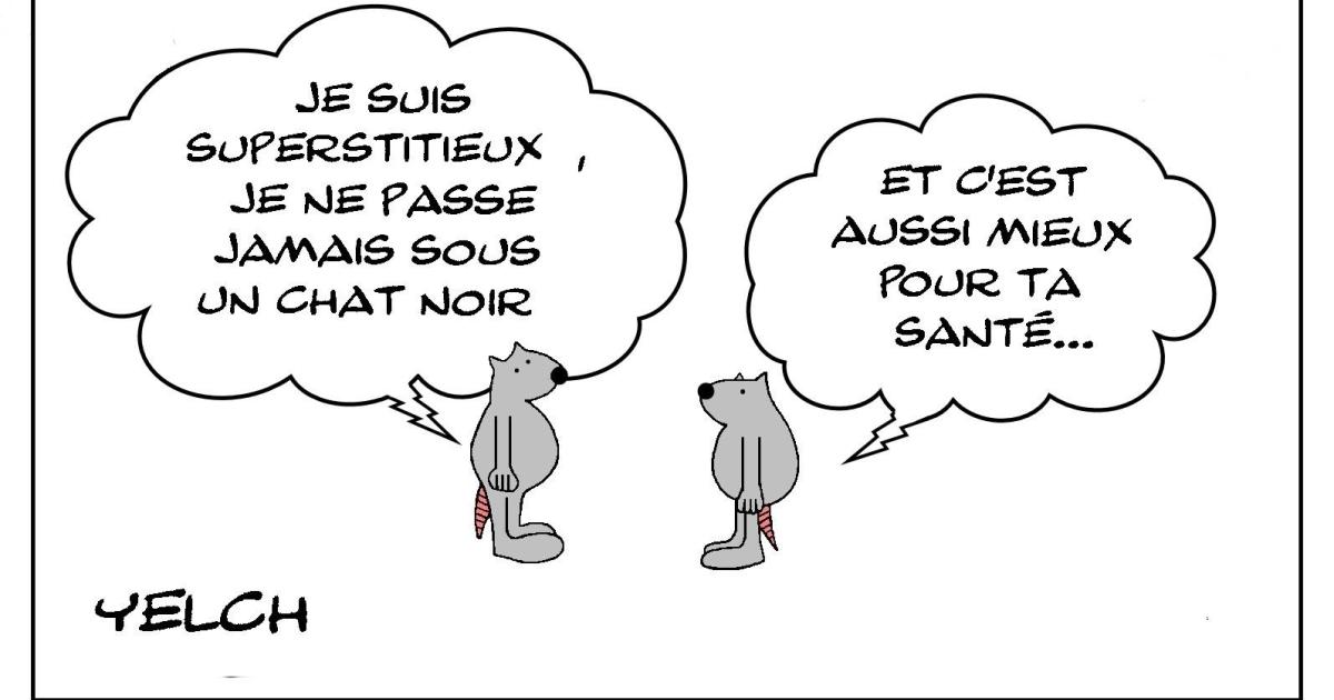 Ne jamais passer sous un chat noir