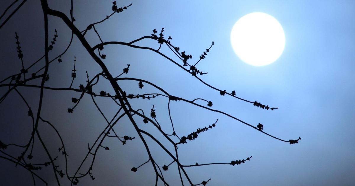Lune de mars