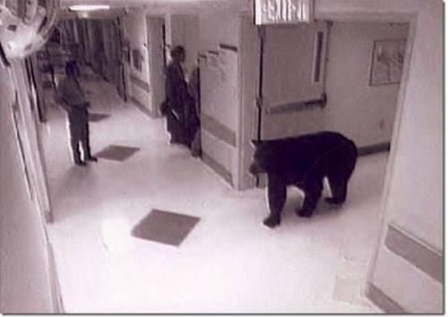 Ideal Distance (poem)