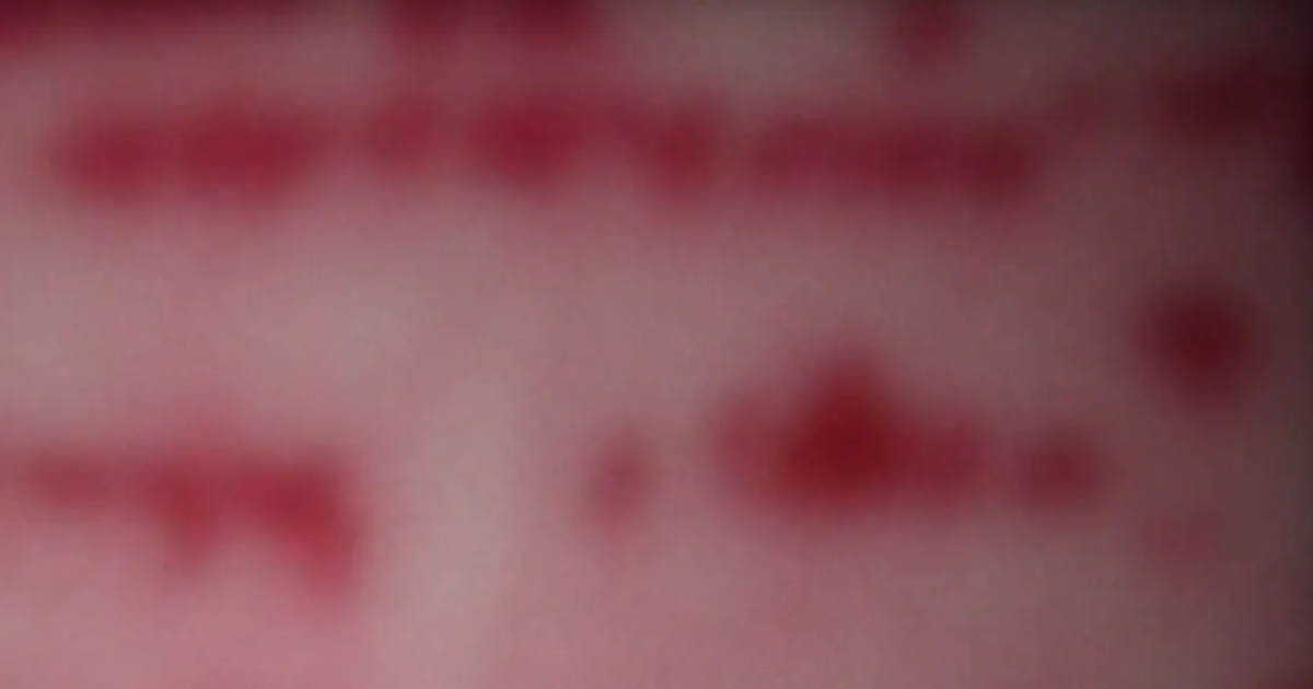 En guise d’avant-propos