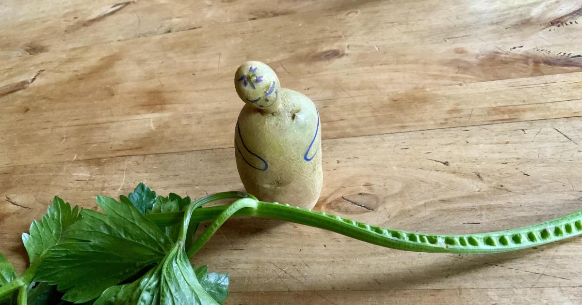 Le jardin du 13 Novembre