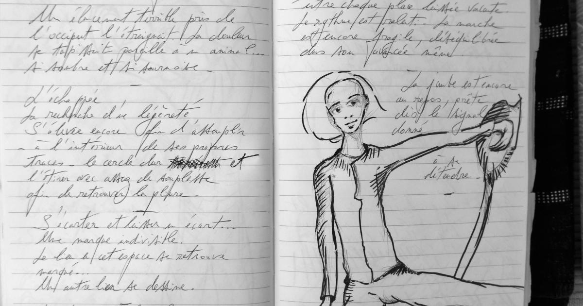 Petits Papiers Volants : Journal D'écriture 2003-2018 - Jeudi 8 février 2018