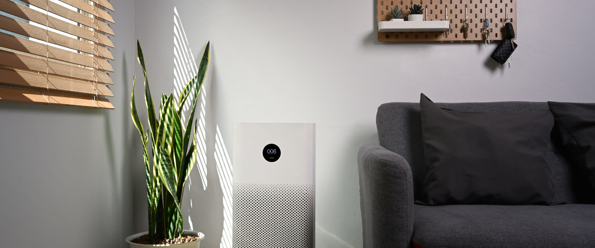 Comment choisir un purificateur d'air électrique ?