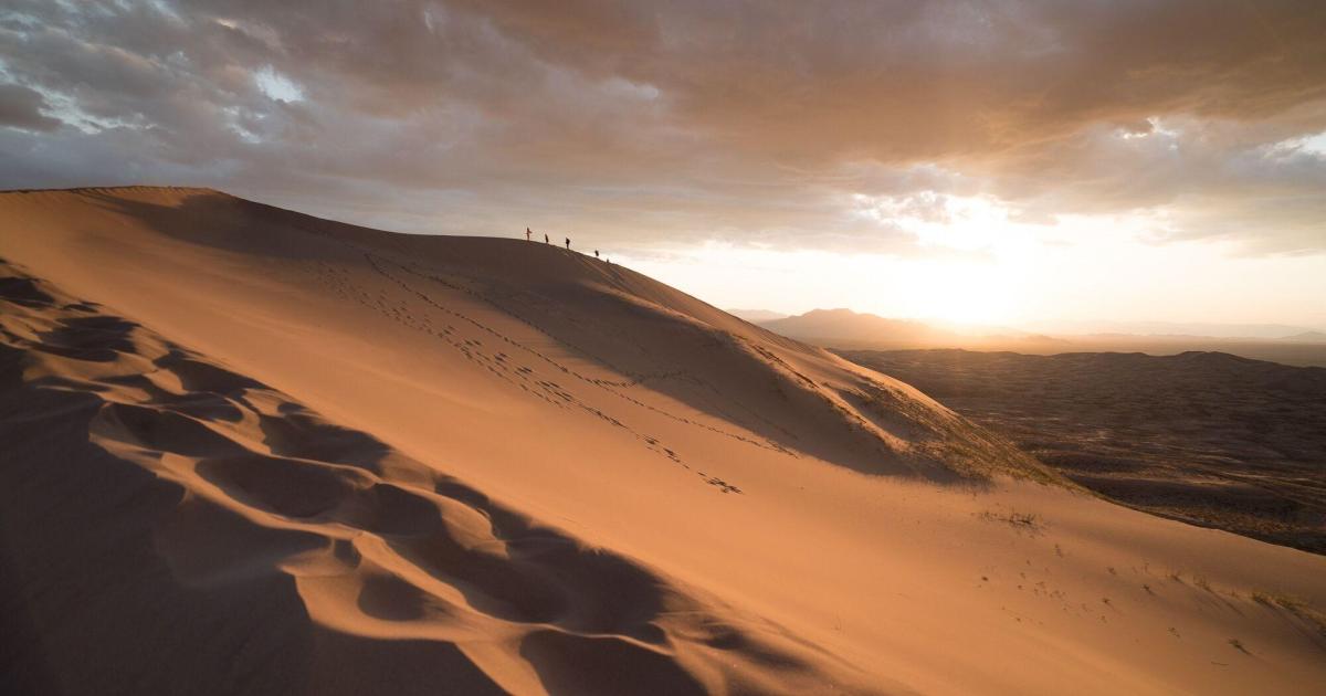 SeulIssue où la peur est choyée ma vie firte avec une mort sans encombre Dans les entrailles d'un bleu aussi profond que l'océanLa barque ne fut pas assez solide pour