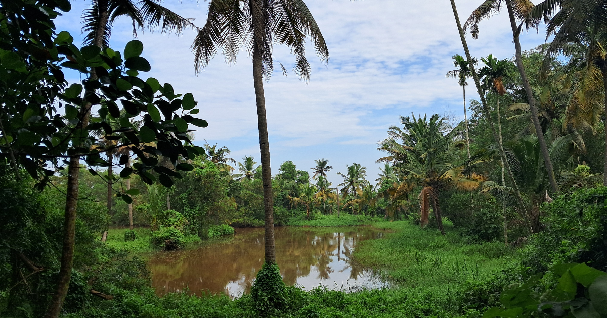 Retraite Ayurvédique à Maïthri Mandir