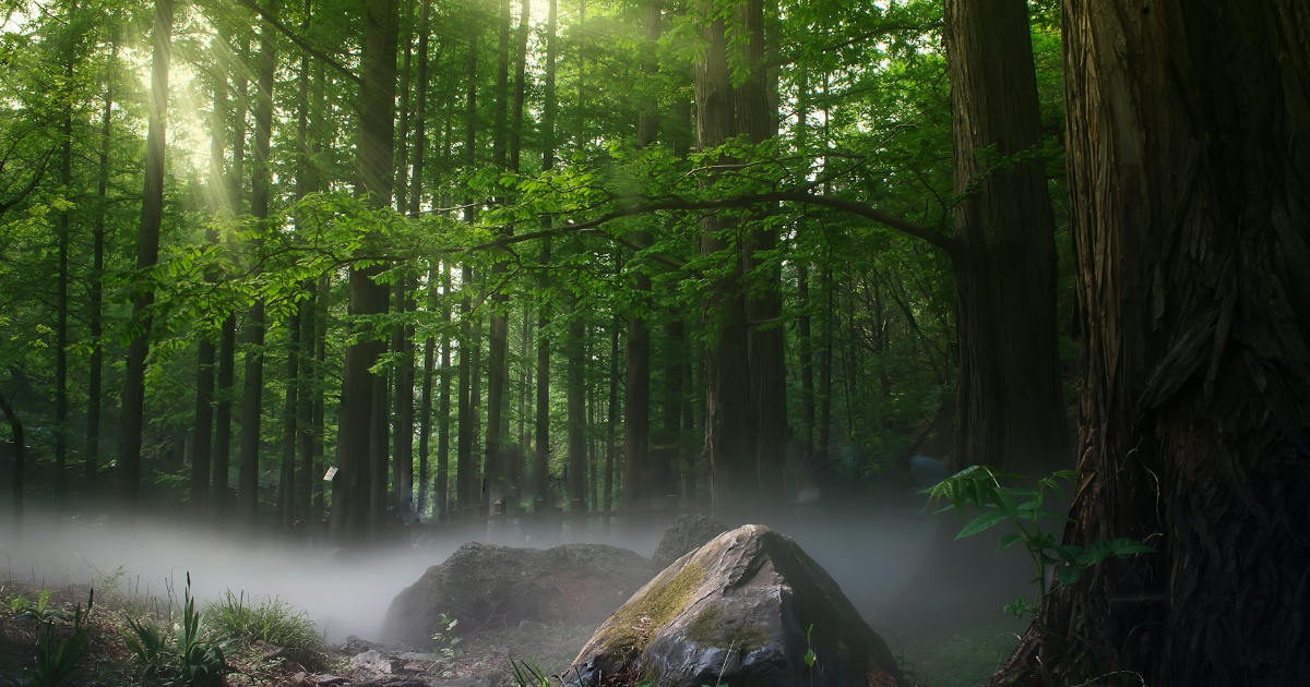 Chapitre 1 Coup de flair