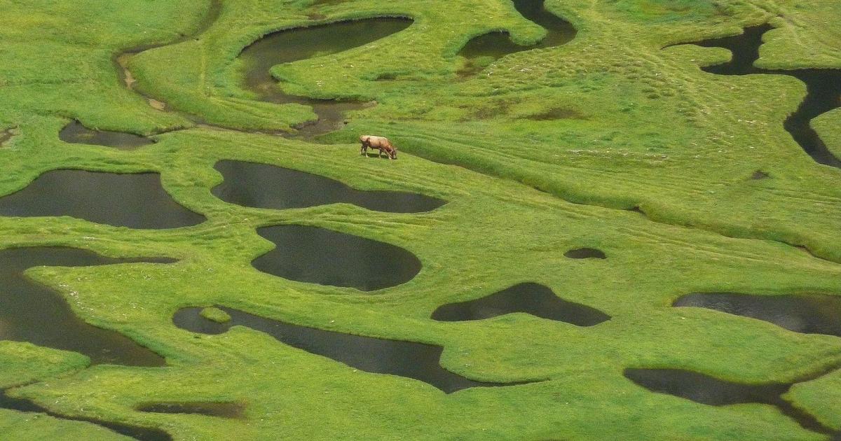 Une merveilleuse montagne au milieu de la mer