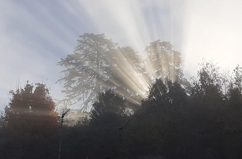 La poésie, ça n'existe pas. Nan mais.